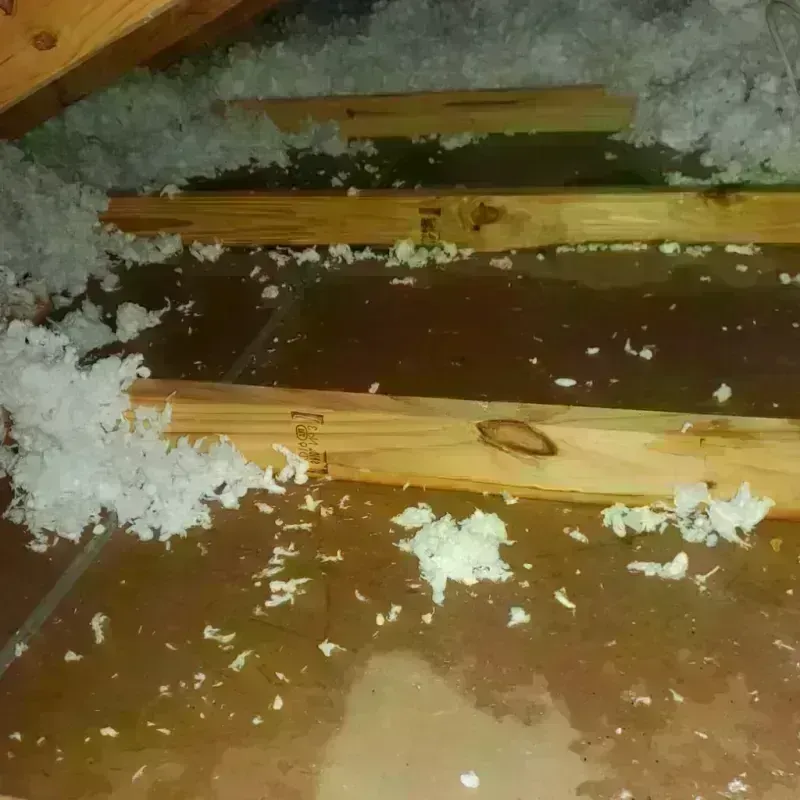 Attic Water Damage in Clarksville, TN