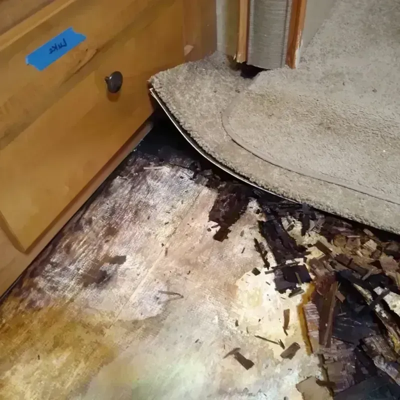 Wood Floor Water Damage in Clarksville, TN